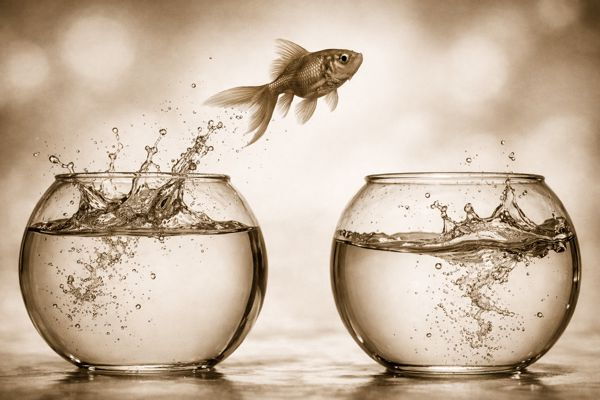 Stellenangebote und Jobs - Pflegedienst Zuhause auf Zack Dortmund